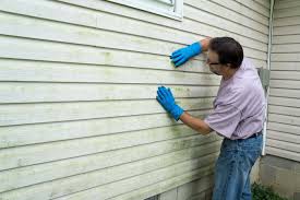 Affordable Siding Repair and Maintenance Services in Germantown, TN